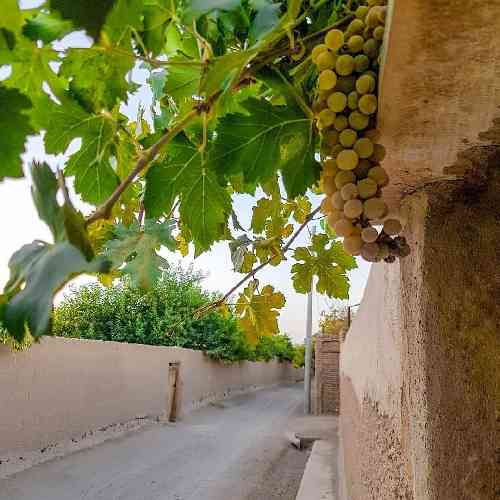 پیمان یعقوبی آی خدا پس چرا تموم شد یار بی وفامون